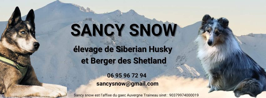 Sancy Snow